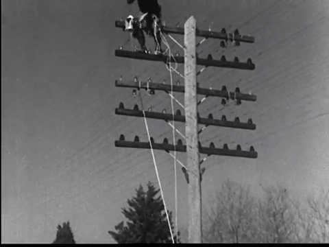 'Underwater Cable' and Other Communication News (1938).mp4.5.gif