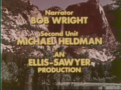 25th Annual Youth Safety Run (1978).mp4.10.gif