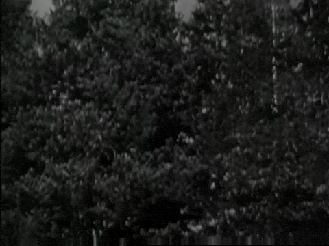 A Christmas Rhapsody (1948).mp4.1.gif