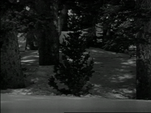 A Christmas Rhapsody (1948).mp4.3.gif