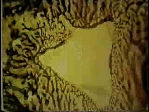 A Colour Box (1935).mp4.6.gif