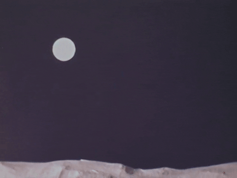 A Film Making Experience (The Night Before Christmas) (1974).mp4.5.gif