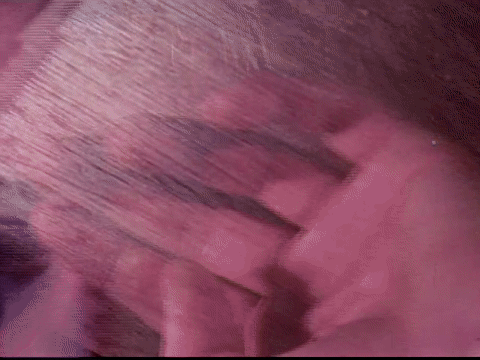 A Movie About Movies (1960).mp4.1.gif