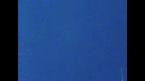 A Visit from St. Nicholas (1949).mp4.1.gif