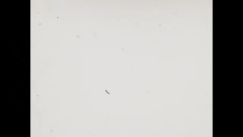 A Visit from St. Nicholas (1949).mp4.10.gif