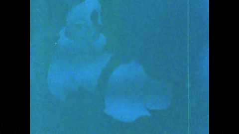 A Visit from St. Nicholas (1949).mp4.5.gif