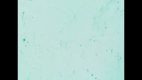 Adventures of an Asterisk (1957).mp4.10.gif