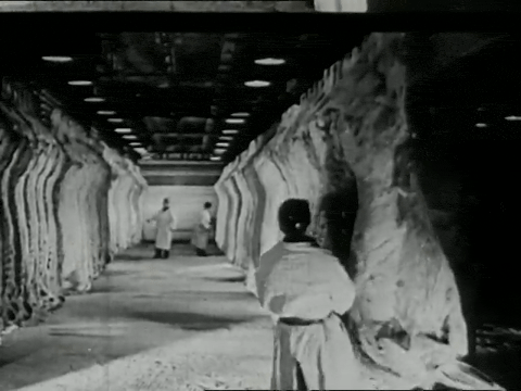 Animals in Modern Life (1937).mp4.3.gif