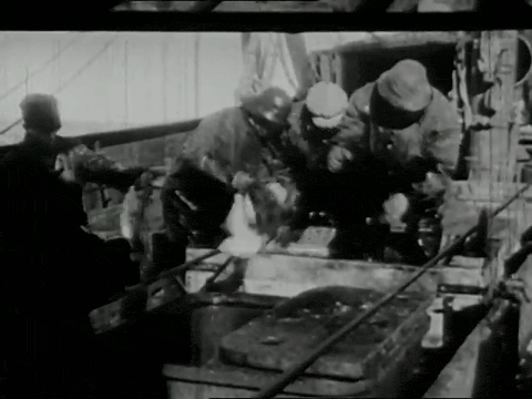 Animals in Modern Life (1937).mp4.4.gif