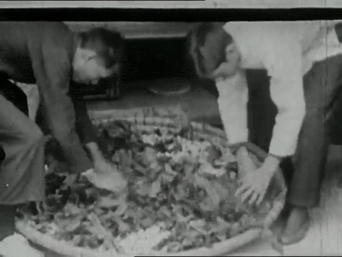 Animals in Modern Life (1937).mp4.5.gif