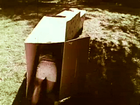 At Your Fingertips- Boxes (1970).mp4.7.gif