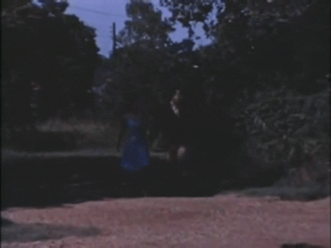 Attack of The Eye Creatures (1967).mp4.3.gif