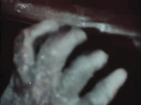 Attack of The Eye Creatures (1967).mp4.7.gif