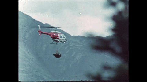 Bears and Man (1978).mp4.1.gif