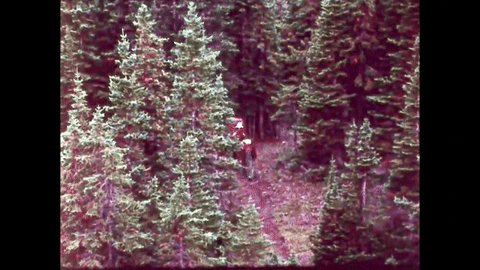 Bears and Man (1978).mp4.2.gif