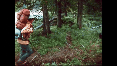 Bears and Man (1978).mp4.3.gif