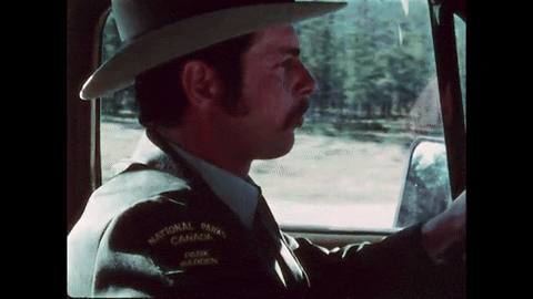 Bears and Man (1978).mp4.5.gif