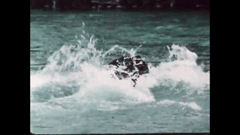 Bears and Man (1978).mp4.7.gif