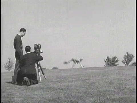 Behind the Lens (1940).mp4.3.gif