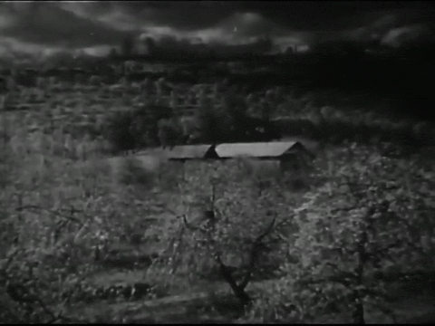 Birds of Prey (1938).mp4.1.gif