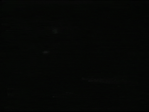 Birds of Prey (1938).mp4.5.gif