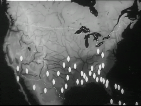 Birds of Prey (1938).mp4.6.gif