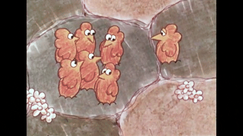 Birds of a Feather (1972).mp4.3.gif