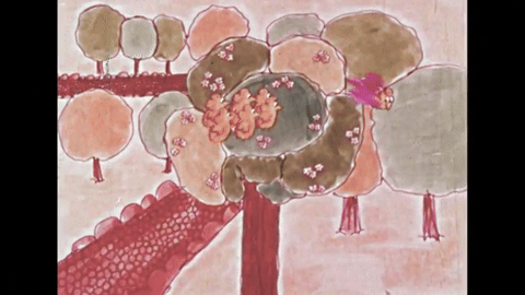 Birds of a Feather (1972).mp4.6.gif