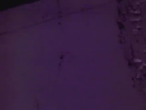 Breakfast Pals (1939).mp4.10.gif