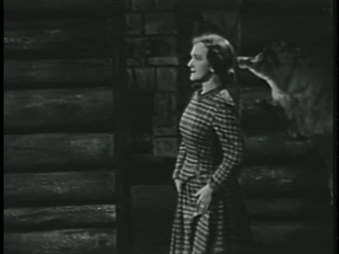 Captain Z-Ro (1955) - S01E02 - Daniel Boone.mp4.1.gif