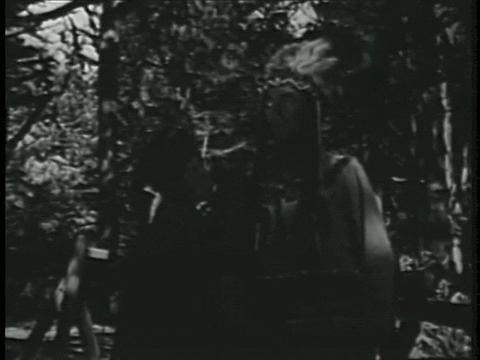 Captain Z-Ro (1955) - S01E02 - Daniel Boone.mp4.5.gif