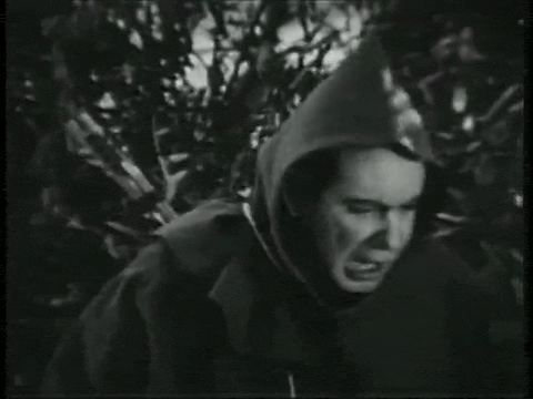 Captain Z-Ro (1955) - S01E12 - Robin Hood.mp4.5.gif