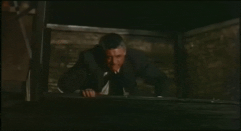 Charade (1963).mp4.5.gif
