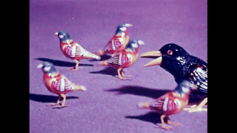 Christmas Cracker (1964).mp4.3.gif