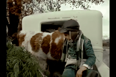 Christmas Snows, Christmas Winds (1978).mp4.3.gif