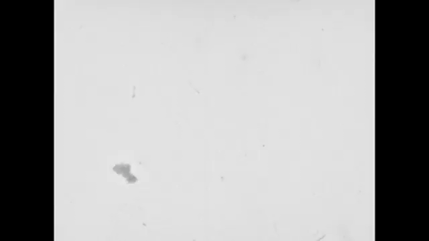 Cinematographer (1951).mp4.10.gif