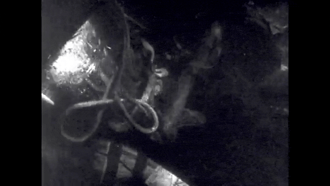 Cinematographer (1951).mp4.7.gif