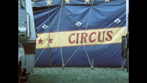 Circus Kids (1984).mp4.6.gif