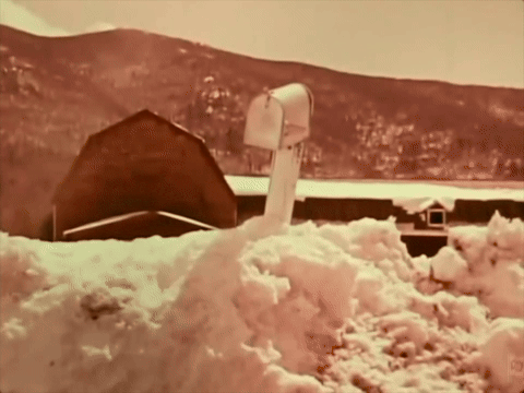 Danger Zones (1975).mp4.7.gif