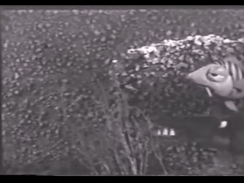 Diver Dan (1960) - S01E02 - Goldie the Goldfish.mp4.1.gif