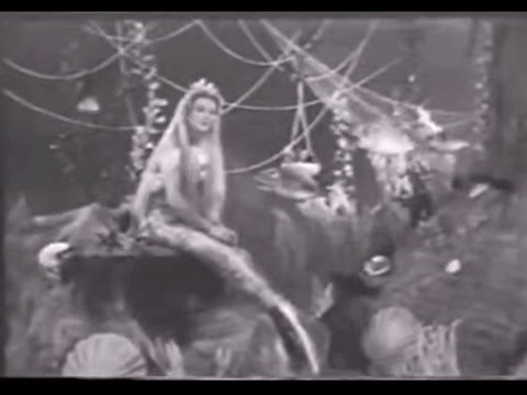 Diver Dan (1960) - S01E02 - Goldie the Goldfish.mp4.7.gif