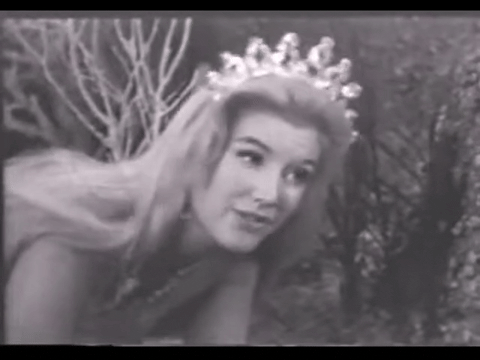 Diver Dan (1960) - S01E03 - Talking Fish.mp4.1.gif