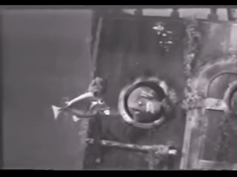 Diver Dan (1960) - S01E03 - Talking Fish.mp4.5.gif