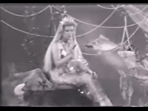 Diver Dan (1960) - S01E03 - Talking Fish.mp4.7.gif