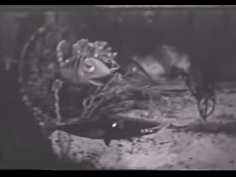 Diver Dan (1960) - S01E04 - Skippers Gold.mp4.1.gif