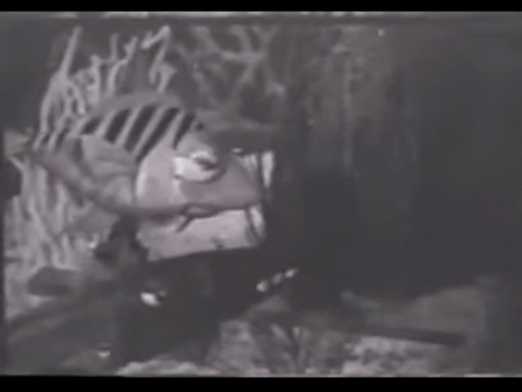 Diver Dan (1960) - S01E04 - Skippers Gold.mp4.3.gif