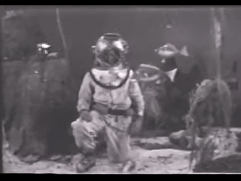 Diver Dan (1960) - S01E05 - Treasure Ship.mp4.2.gif