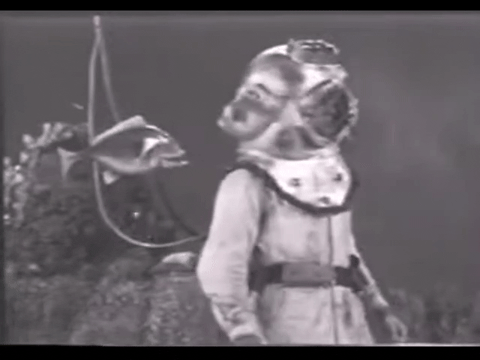 Diver Dan (1960) - S01E05 - Treasure Ship.mp4.5.gif