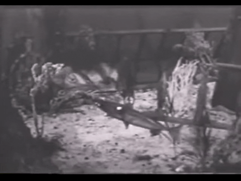 Diver Dan (1960) - S01E05 - Treasure Ship.mp4.6.gif