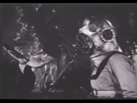 Diver Dan (1960) - S01E06 - Sargasso Sea.mp4.2.gif